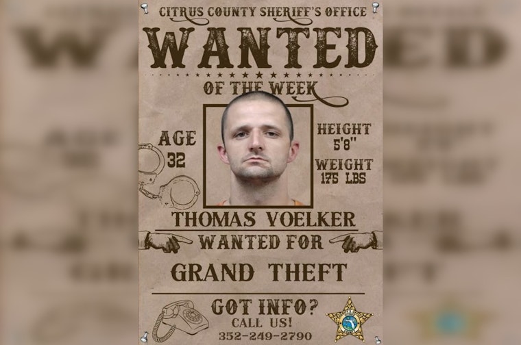 Thomas Voelker Wanted For Grand Theft In Citrus County