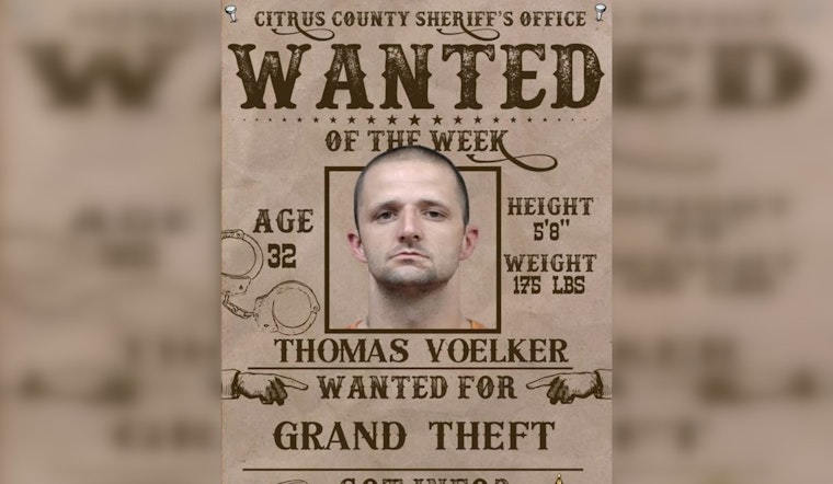 Thomas Voelker Wanted For Grand Theft In Citrus County