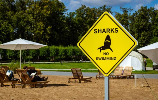 Tiger Shark Sighting Puts Ke Iki Beach On Alert