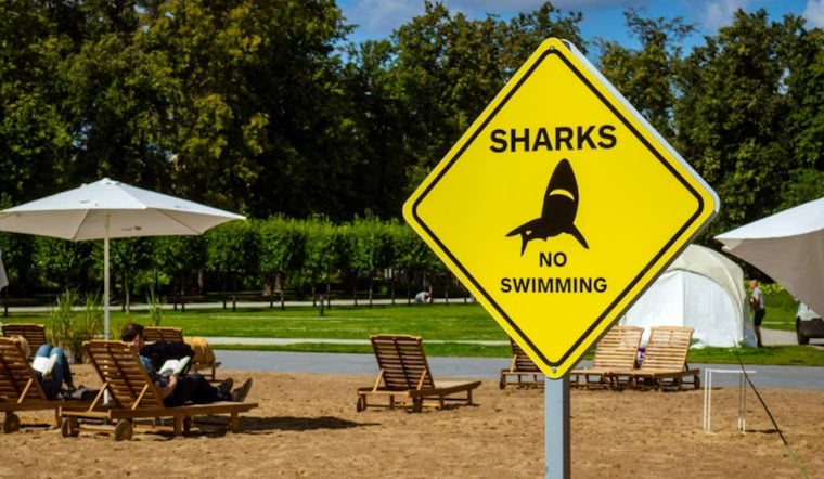 Tiger Shark Sighting Puts Ke Iki Beach On Alert