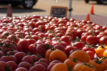 Tomato Art Fest Returns To Five Points This August