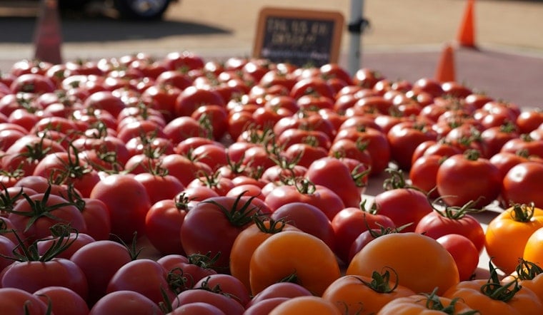 Tomato Art Fest Returns To Five Points This August