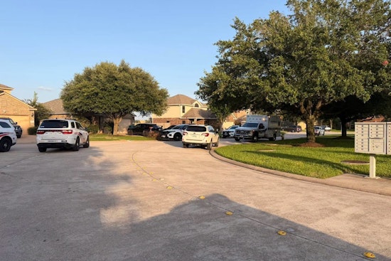 Tomball Mailbox Run Turns Chaotic in Sudden Dog Attack