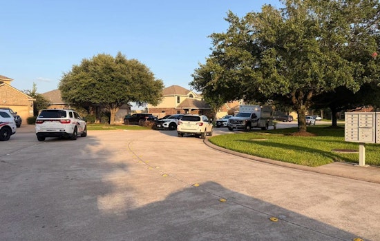 Tomball Mailbox Run Turns Chaotic in Sudden Dog Attack