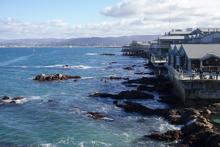 Toxic Tide Puts Monterey Bay Anchovies and Sardines off the Menu