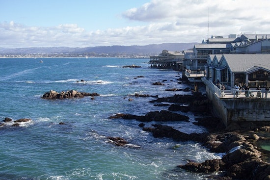 Toxic Tide Puts Monterey Bay Anchovies and Sardines off the Menu