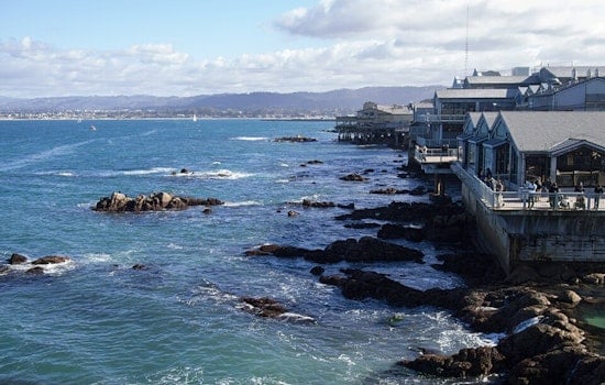 Toxic Tide Puts Monterey Bay Anchovies and Sardines off the Menu