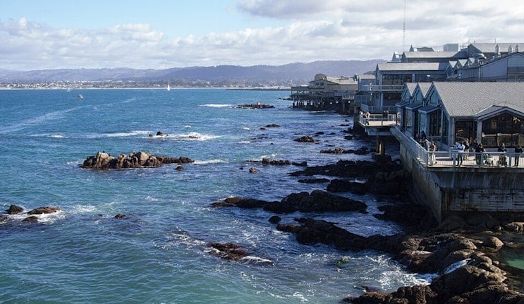 Toxic Tide Puts Monterey Bay Anchovies and Sardines off the Menu