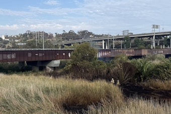 Trackside Brush Blaze Rattles Mission Valley Near Friars Road