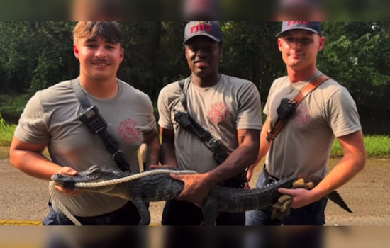 Trash-Can Standoff: Rookie Slidell Firefighters Tame Porch Gator