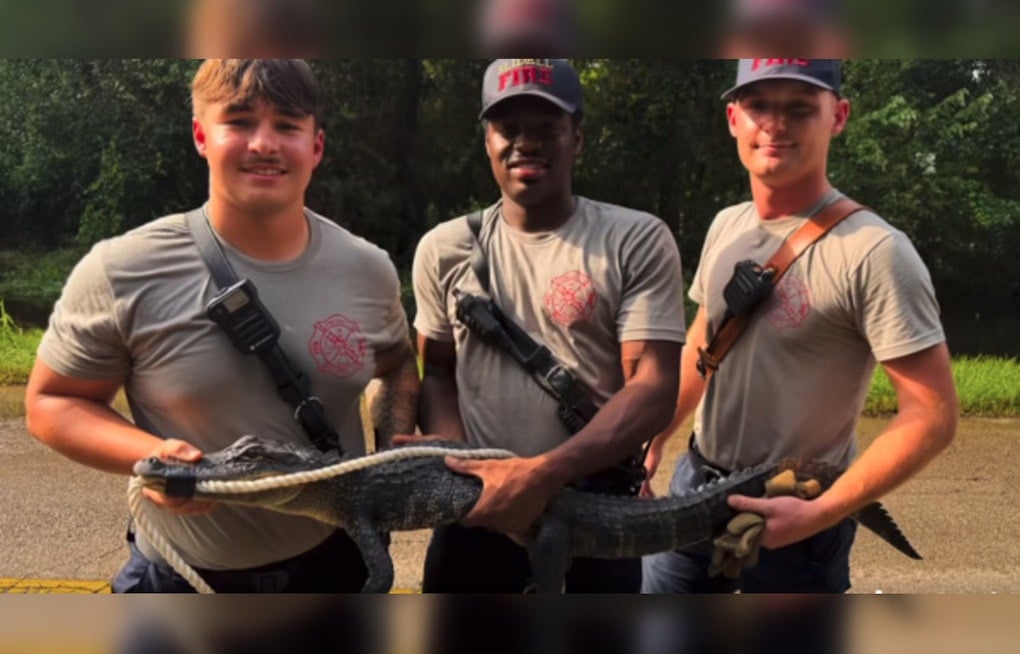 Trash-Can Standoff: Rookie Slidell Firefighters Tame Porch Gator