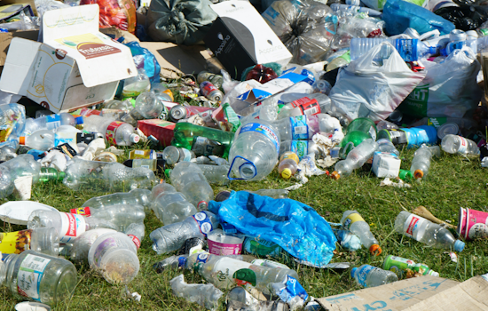 Trash, Rats and Open-Air Drug Use: Federal Hill Neighbors Say City Is Ghosting Them