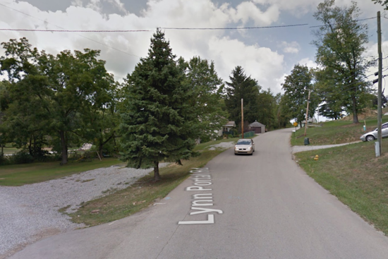 Tree Crashes Onto Person In Washington County As Coroner Races To Scene
