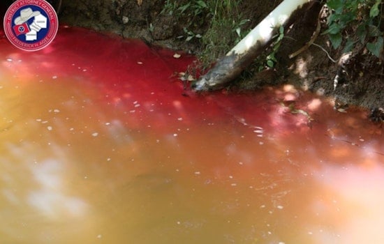 Trenton Bar Accused Of Dumping Sewage In River, Faces Sudden Shutdown