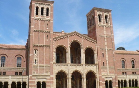 UC Pronoun Showdown Ignites Free Speech Brawl On Campus