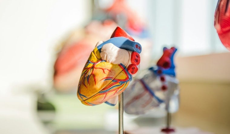 UCLA Heart Scans Hint At Cancer Years Before Diagnosis