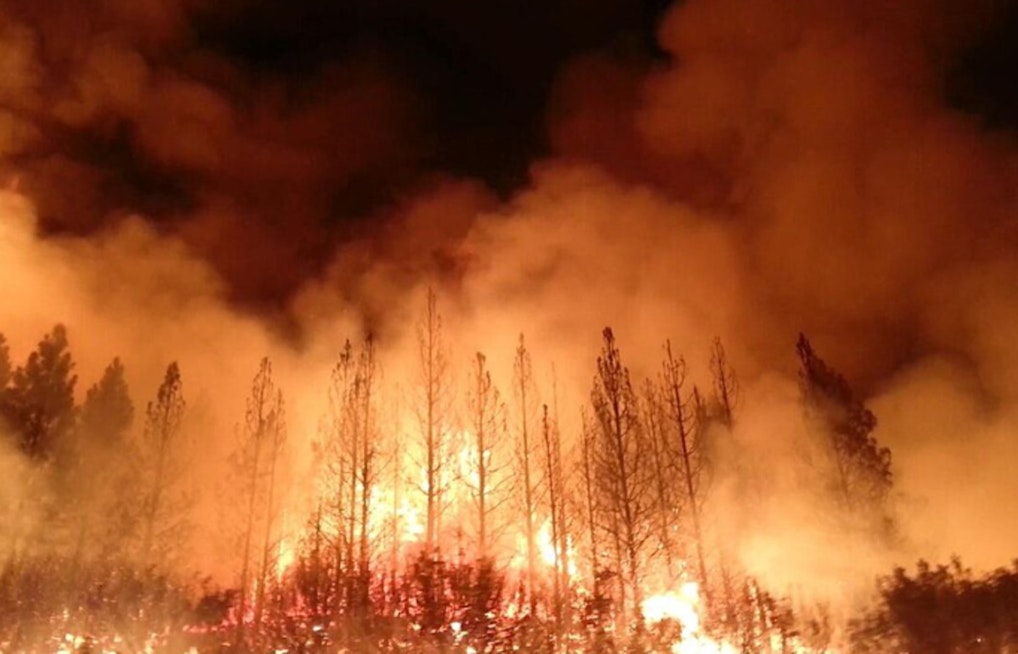 UCLA Study Finds High-Severity Wildfires Surge Across California