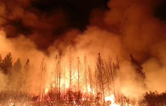 UCLA Study Finds High-Severity Wildfires Surge Across California
