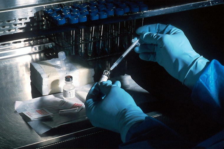 UCLA’s Tiny Tumor ‘Farm’ Lets AI Speed-Test Cancer Drugs