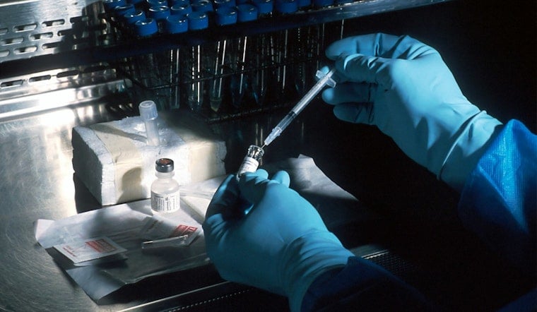 UCLA’s Tiny Tumor ‘Farm’ Lets AI Speed-Test Cancer Drugs