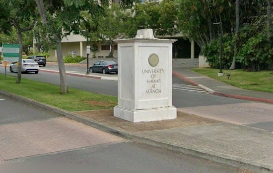 UH Push To Quiet Campus Protests Sparks Faculty Revolt