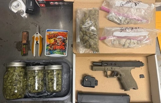 Quiet Night Turns Chaotic: University City Noise Call Ends With Gun And Weed Bust