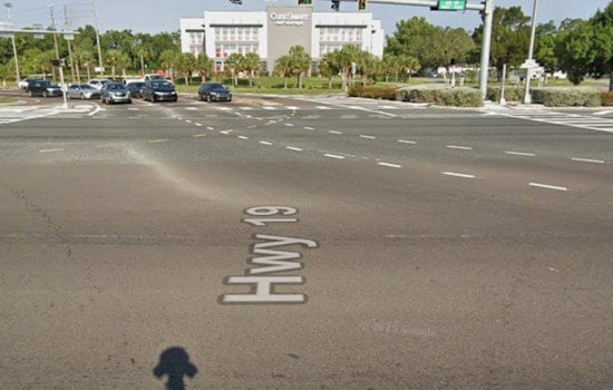 US 19 Theft, Pasco Deputies Hunt Bearded Suspect In Holiday
