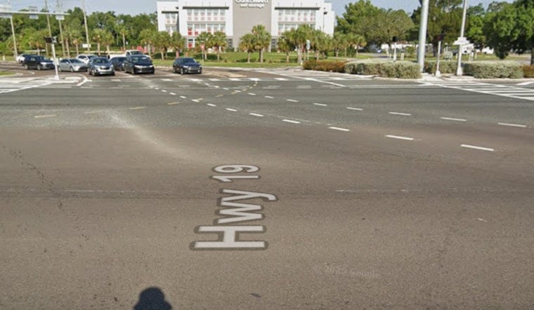 US 19 Theft, Pasco Deputies Hunt Bearded Suspect In Holiday