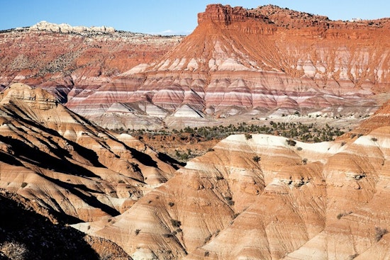 Utah Guard Choppers Snag Baby Dino Fossil From Grand Staircase Wilds