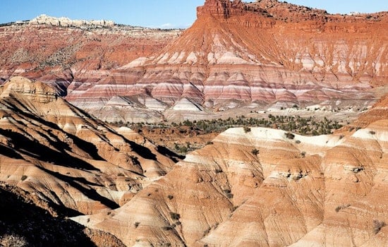 Utah Guard Choppers Snag Baby Dino Fossil From Grand Staircase Wilds