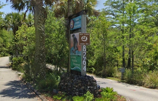 Airboats And K‑9s Swarm Jupiter Swamp In Mystery Grassy Waters Search