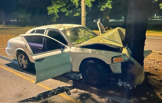 Vancouver Driver Dies In 2 A.M. Mill Plain Median Tree Crash