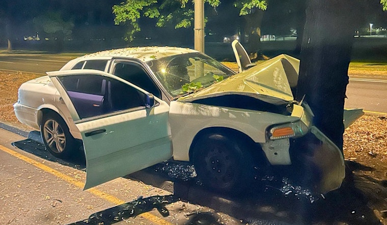 Vancouver Driver Dies In 2 A.M. Mill Plain Median Tree Crash