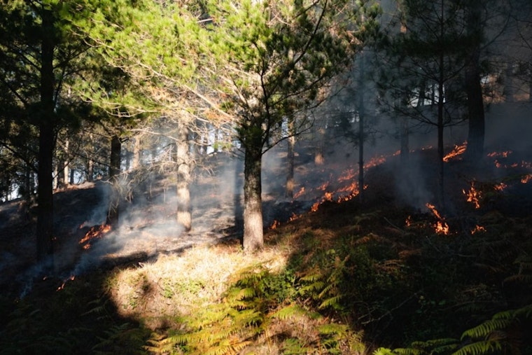 Vegas Dads Catch Brief Heat Break As Utah Border Wildfires Rage