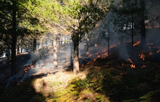 Vegas Dads Catch Brief Heat Break As Utah Border Wildfires Rage