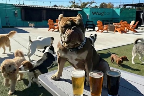 Wagbar Opens Dog Park Bar In Knoxville