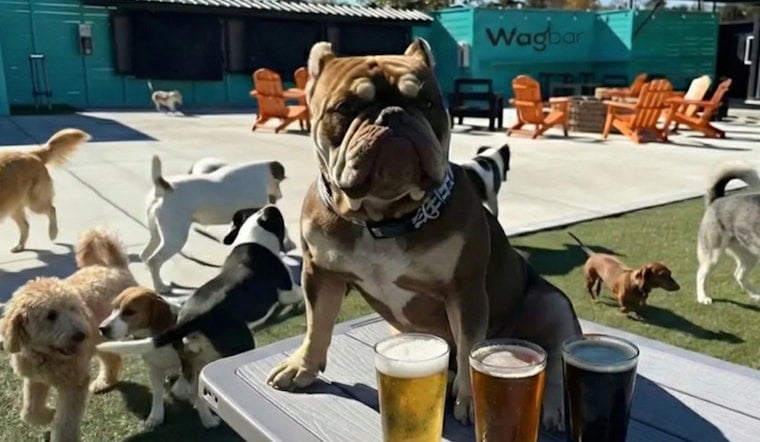 Wagbar Opens Dog Park Bar In Knoxville