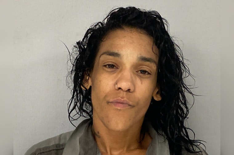 Wagoner Motel Horror, Woman Busted After Two Dogs Found Dead, One Escapes Through Window