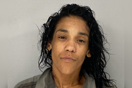 Wagoner Motel Horror, Woman Busted After Two Dogs Found Dead, One Escapes Through Window
