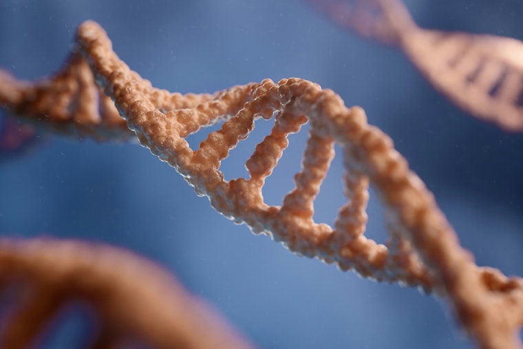 West Memphis Three DNA Tests Could Begin in July