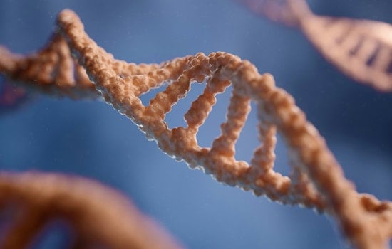 West Memphis Three DNA Tests Could Begin in July