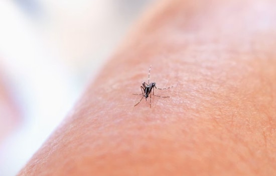 West Nile Hits Jeffco First As Colorado Mosquito Season Begins
