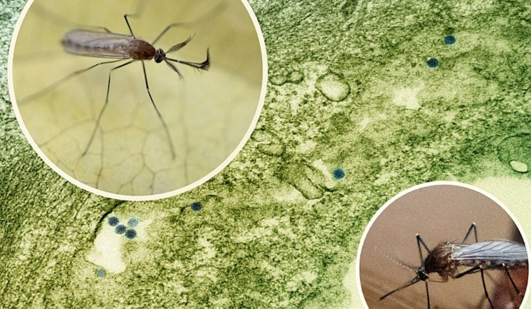 West Nile Jitters As Worthington Faces Dawn Mosquito Fog Blitz