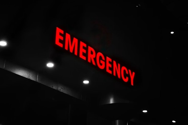 Whippets Are Wreaking Havoc In Michigan As ER Visits Soar