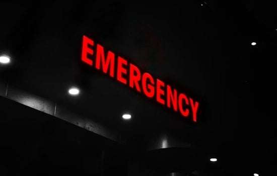 Whippets Are Wreaking Havoc In Michigan As ER Visits Soar