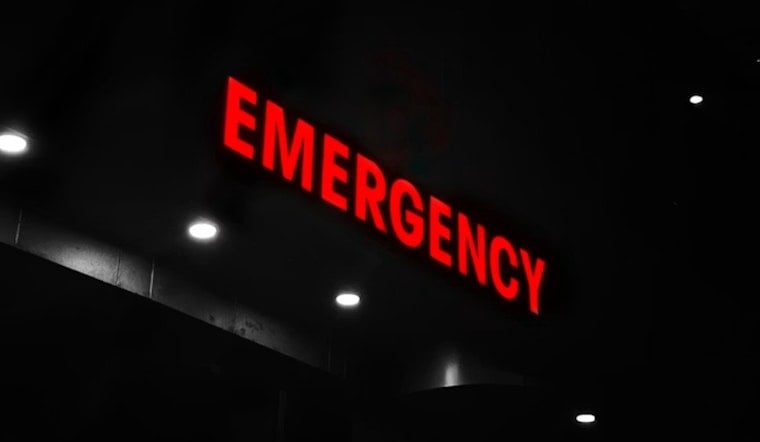 Whippets Are Wreaking Havoc In Michigan As ER Visits Soar