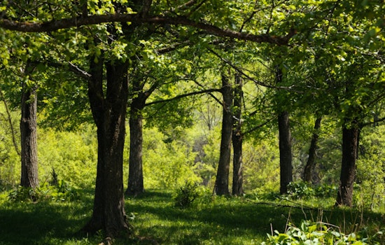 Wilmington Drops $11 Million To Stop 63-Acre Woods From Going Private