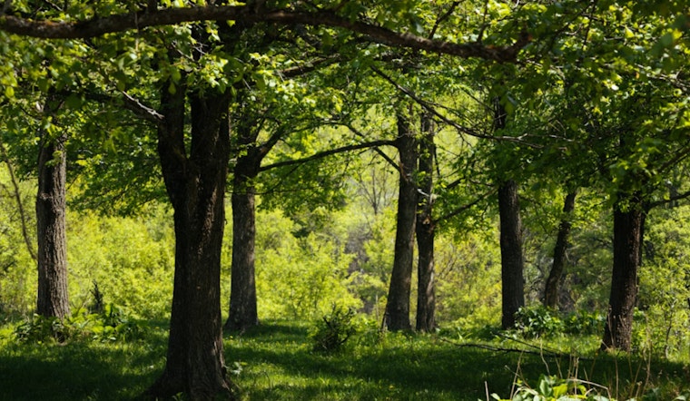 Wilmington Drops $11 Million To Stop 63-Acre Woods From Going Private