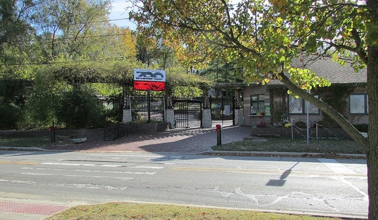 Wolf Death And Staff Scare Rattle Michigan City Zoo