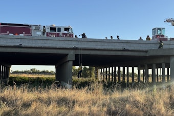 Yolo Causeway Drama As Davis, West Sac Crews Pull Off High-Risk Rope Rescue